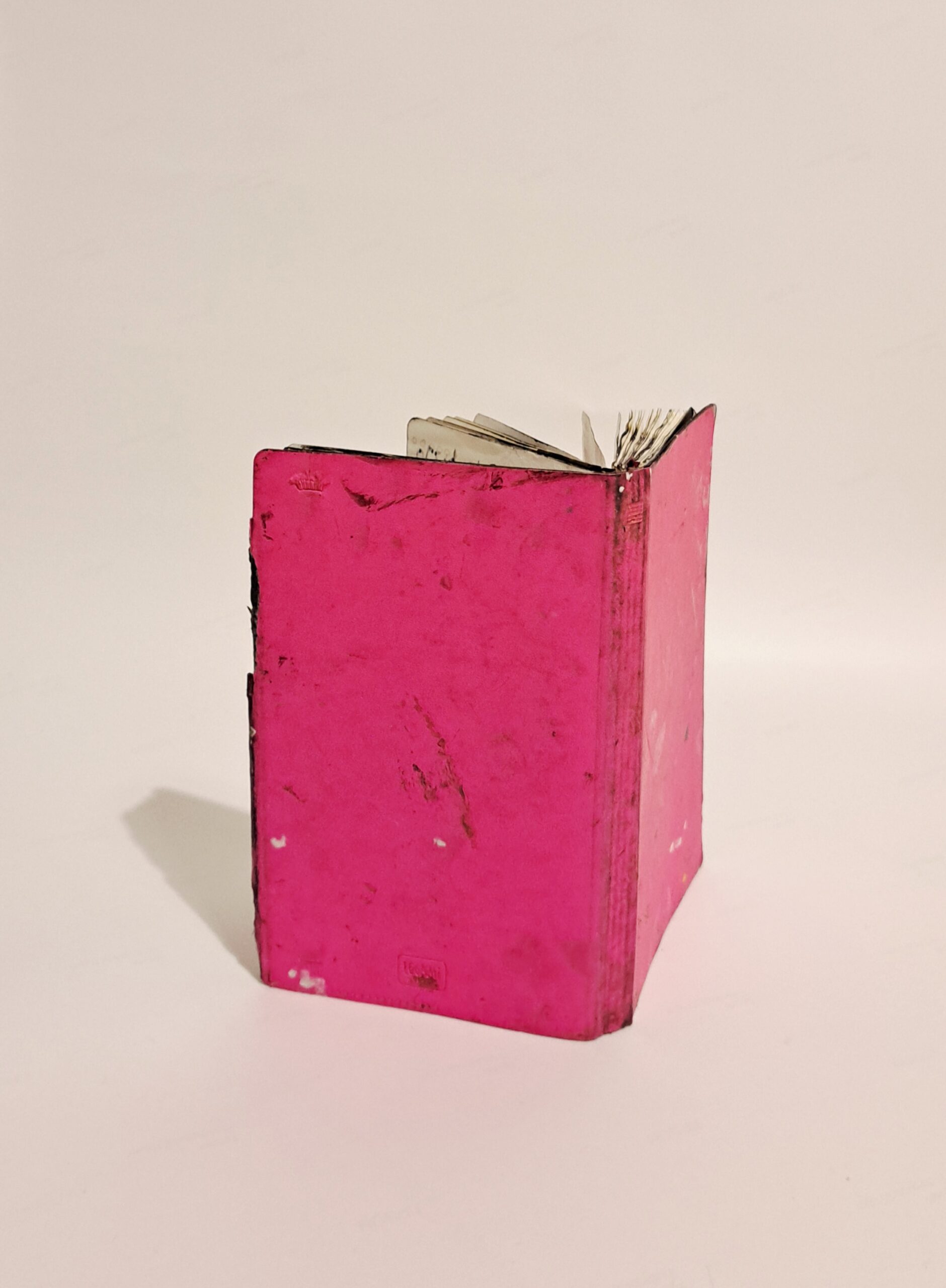 Drawing on Paper (Notebook) "Pink Book" by Marco Rossi - Image 3