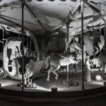 13_DSC_8269_Ph-Leonardo-Morfini